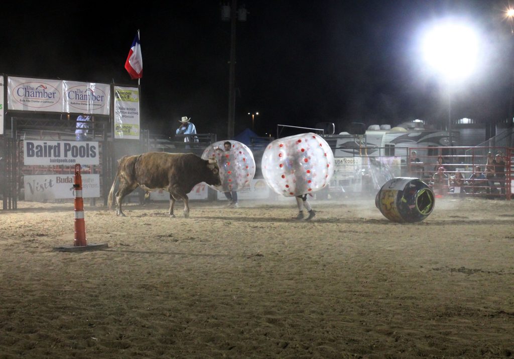 Second Buda Rodeo draws a crowd gallery