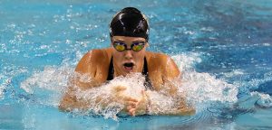 Tiger swimmers make a splash at state meet