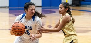 Lady Lobos fall to Austin 45-27