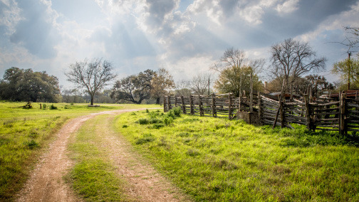 Austin man killed in Feb. 4 wreck near Dripping Springs