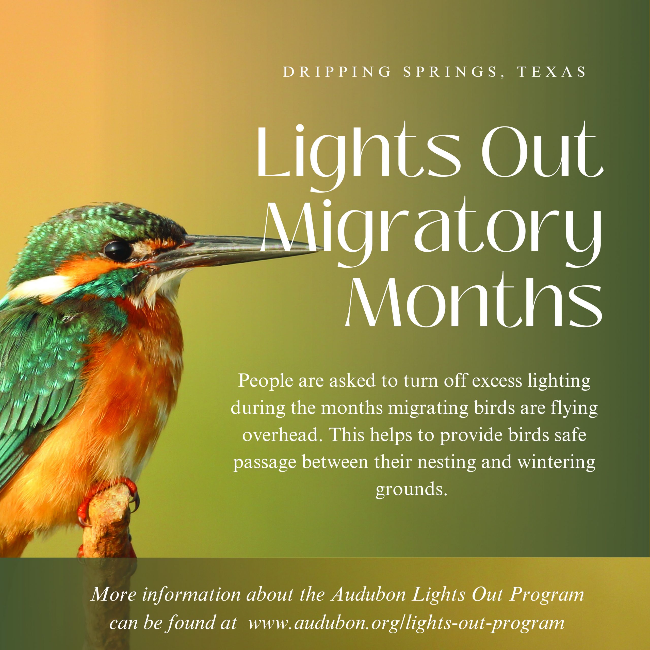 dripping-springs-residents-urged-to-turn-off-lights-for-birds