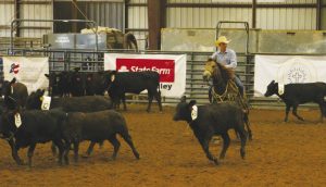 Dripping Springs Fair and Rodeo back for 13th year