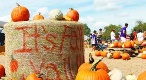 Dripping Springs Pumpkin Festival moves to Uhland
