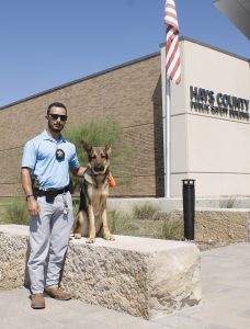 Farm dog to Hays County Sheriff’s Office officer: Mirko’s story