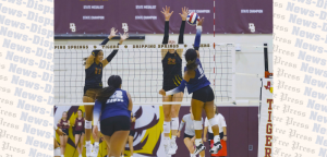 Dripping Springs Tigers volleyball sweeps Hendrickson