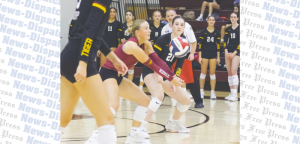 Dripping Springs Tigers volleyball sweep Bowie Bulldogs