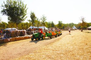 Sights and sounds of fall abound at Uhland Fall Fest