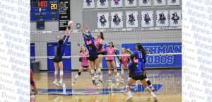 Lobos swept by Timberwolves