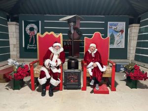 Holiday fun to kick off in Buda