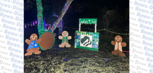 Buda Trail of Lights: May your holidays be merry & bright