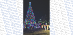 The Dripping Springs Lions Club lights community tree