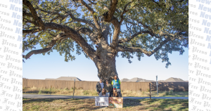 Kyle residents protest removal of 400-year-old tree