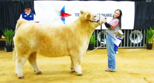 Scenes from the 2025 Hays County Youth Livestock Show